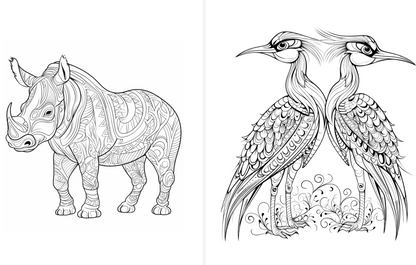 Imagine African Animals Coloring Book | Printable